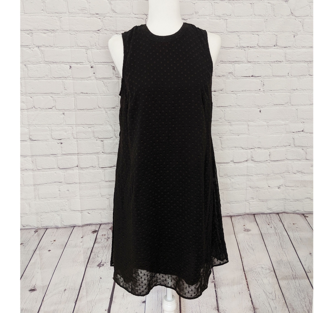 DR2 Sleeveless Black Dress with Pleated Back